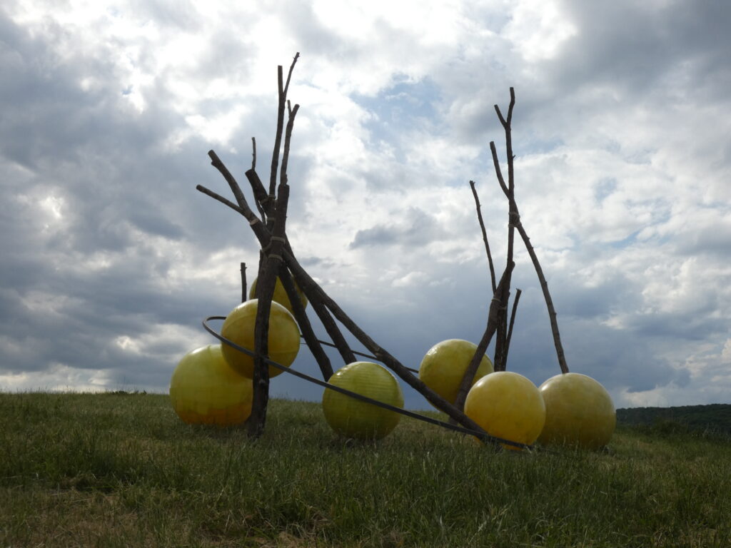 Installation Vign'art 2025