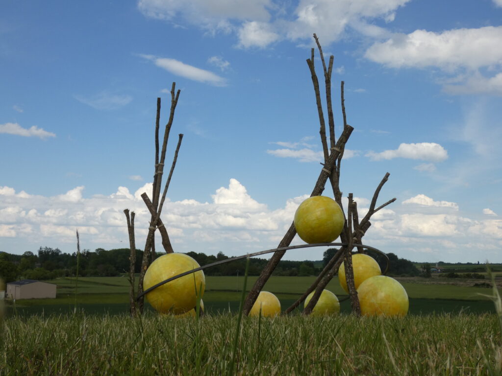 Installation Vign'Art 2025